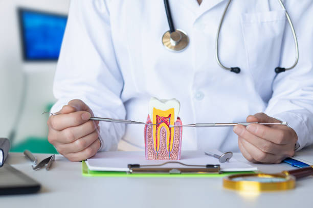 Best Emergency Treatment for Toothache in Green Meadows, OH